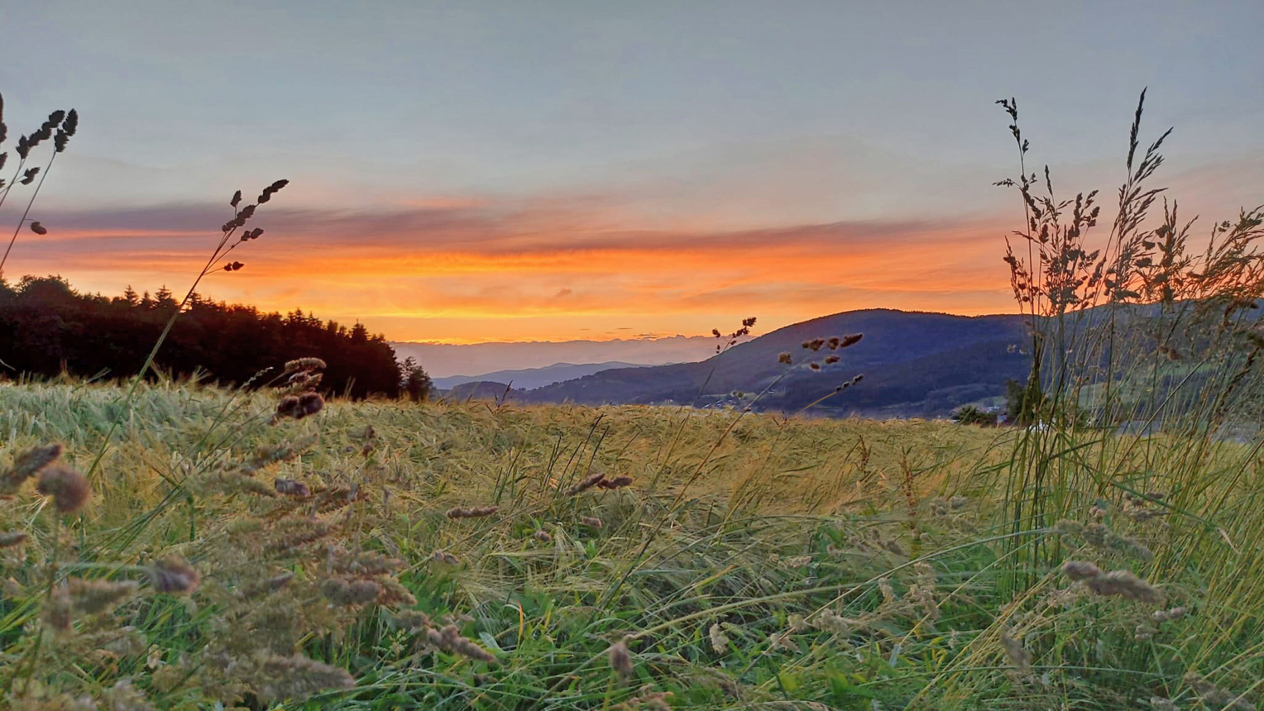 Urlaub auf dem Bauernhof im Bayerischen Wald